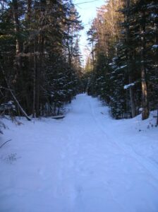 Breaking Trail Image